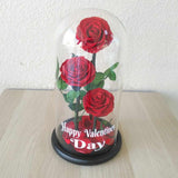 Red Long Life preserved Rose ( Triple )