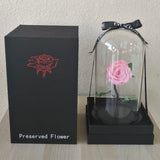 Pink Long life preserved rose