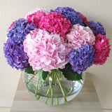 Hydrangea flowers in a large fish bowl vase