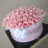 Pink Roses - Round Box - Large