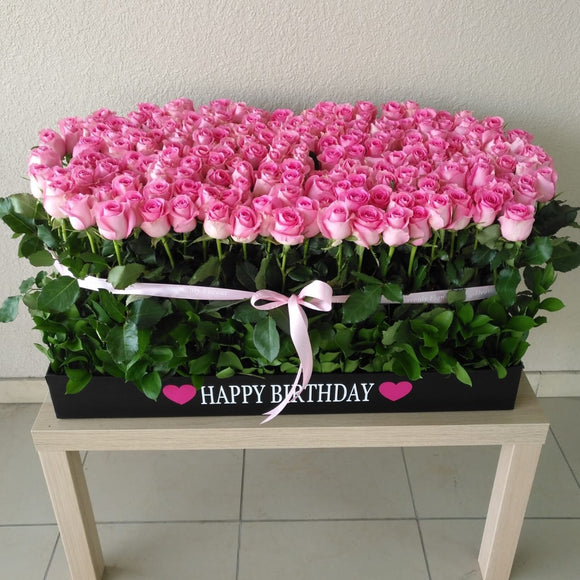 200 Pink Roses in A Big long black box