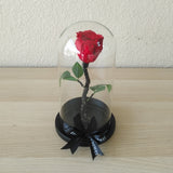 Red Long Life preserved Rose