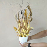 Preserved and Dried flowers arrangement #17