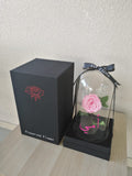 Pink Long life preserved rose