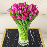 Purple tulips in a vase