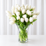 White tulips in a vase