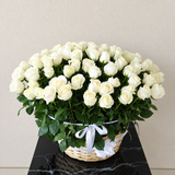 101 White Roses In a Basket