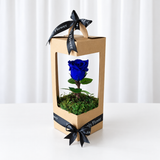 Blue Long life preserved rose