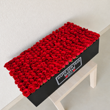 200 Red Roses in A long box