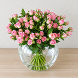 Baby rose in fish bowl - Pink