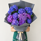dark blue and purple hydrangeas