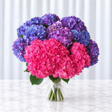Hydrangea flower bouquet
