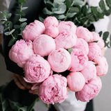 20 Pink peonies Bouquet