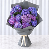dark blue and purple hydrangeas