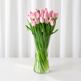 Pink Tulips in A Vase