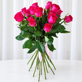 20 hot Pink roses