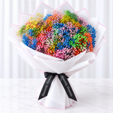 Rainbow Gypsophila