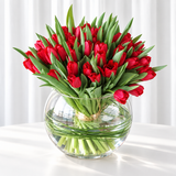 Red tulips in a fish bowl vase