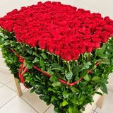 300 Red Roses in A Big long black box