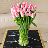 Pink Tulips in A Vase