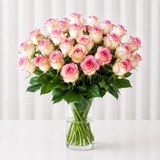 pink roses in a vase
