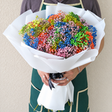 Rainbow Gypsophila