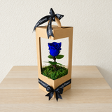 Blue Long life preserved rose