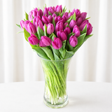 Purple tulips in a vase