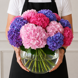 Hydrangea flowers in a large fish bowl vase