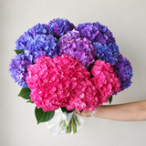 Hydrangea flower bouquet