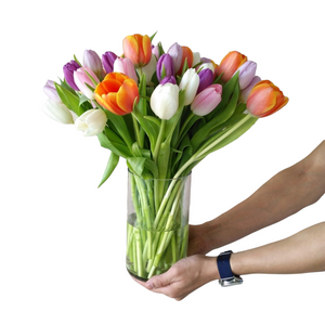 Assorted Tulips in A Vase
