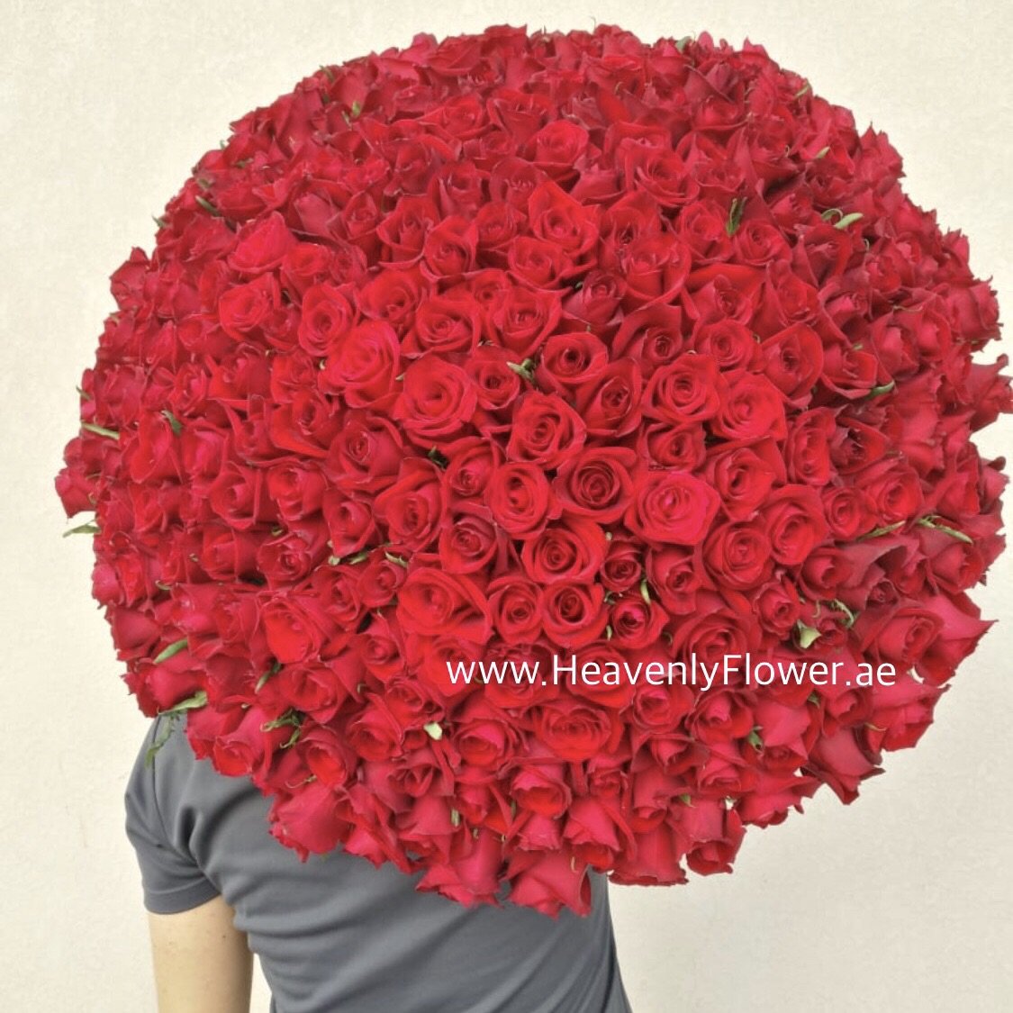 300 Red Roses Bouquet Delivery in Dubai. Luxurious 300 roses bouquet.