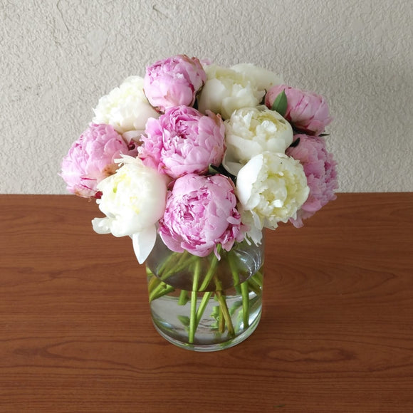 Whit and Pink peonies arrangement - Peony Vase