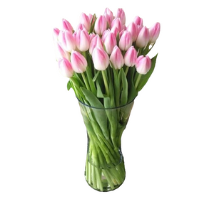 Assorted Tulips in A Vase