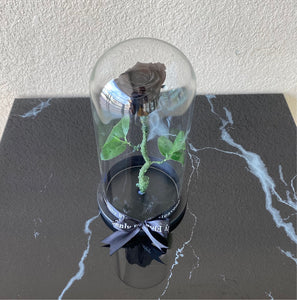 Black Long life preserved rose
