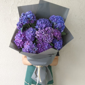 dark blue and purple hydrangeas
