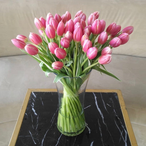 Pink Tulips in A Vase
