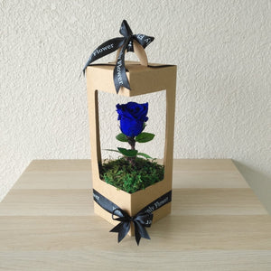 Blue Long life preserved rose