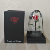 Red Long Life preserved Rose