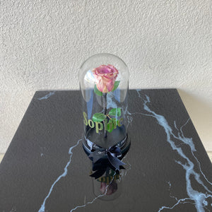 Purple Long life preserved rose