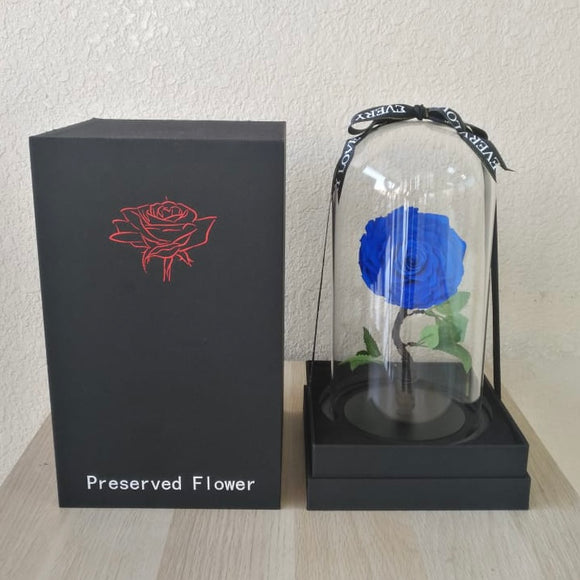 Blue Long life preserved rose