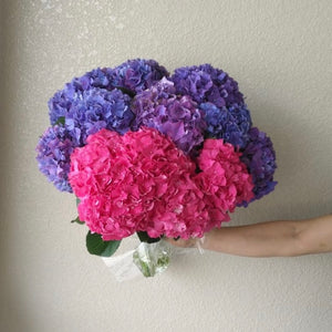 Hydrangea flower bouquet