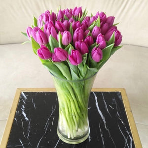 Purple tulips in a vase
